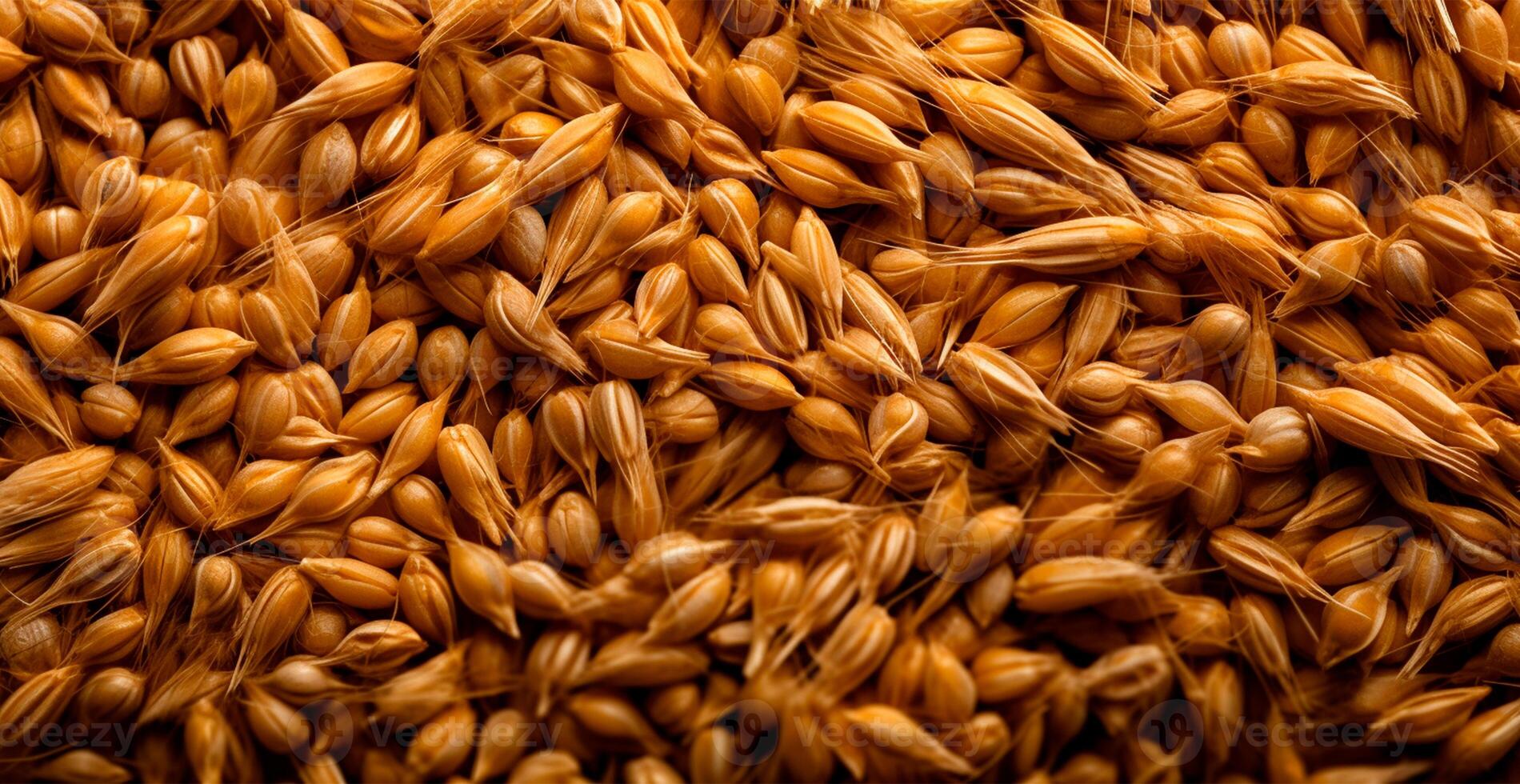 Wheat grains, flour, bakery background - AI generated image photo