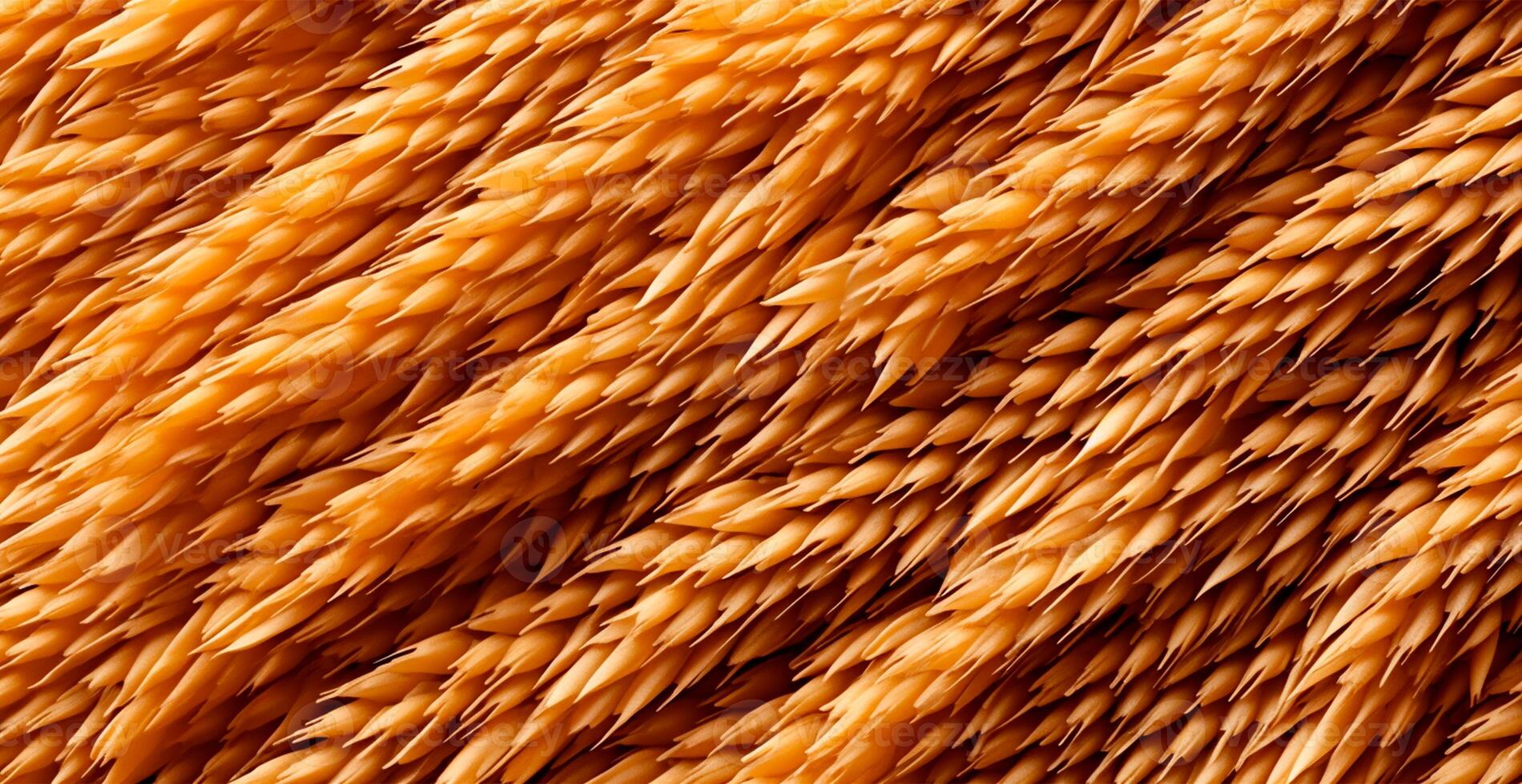 Wheat grains, flour, bakery background - image photo