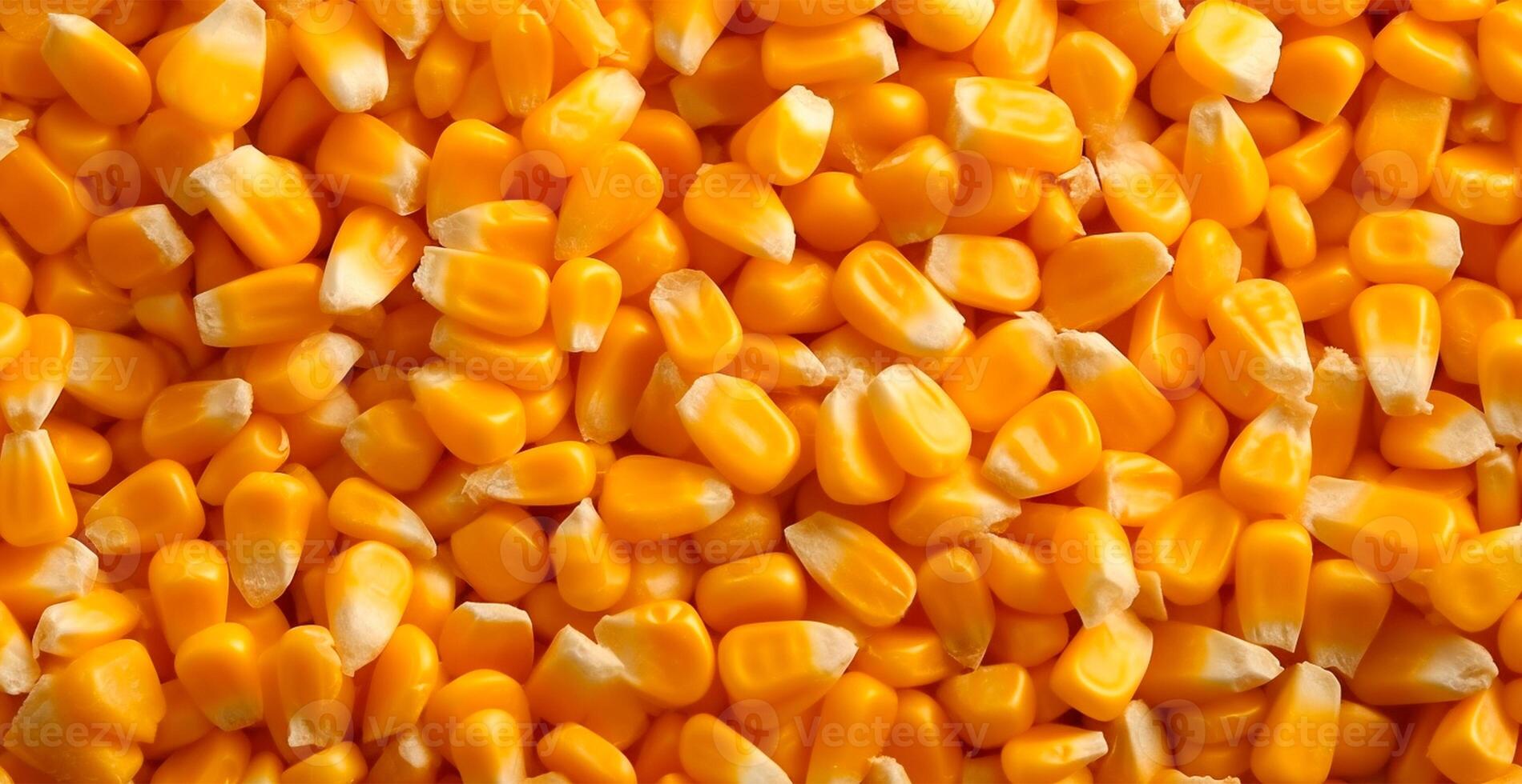 Peeled corn cob, yellow seeds, top view - image photo