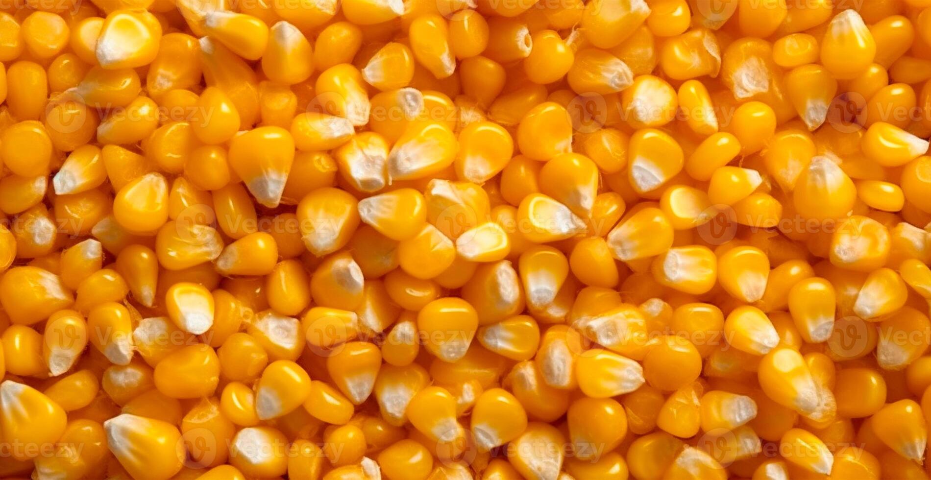 Peeled corn cob, yellow seeds, top view - image photo