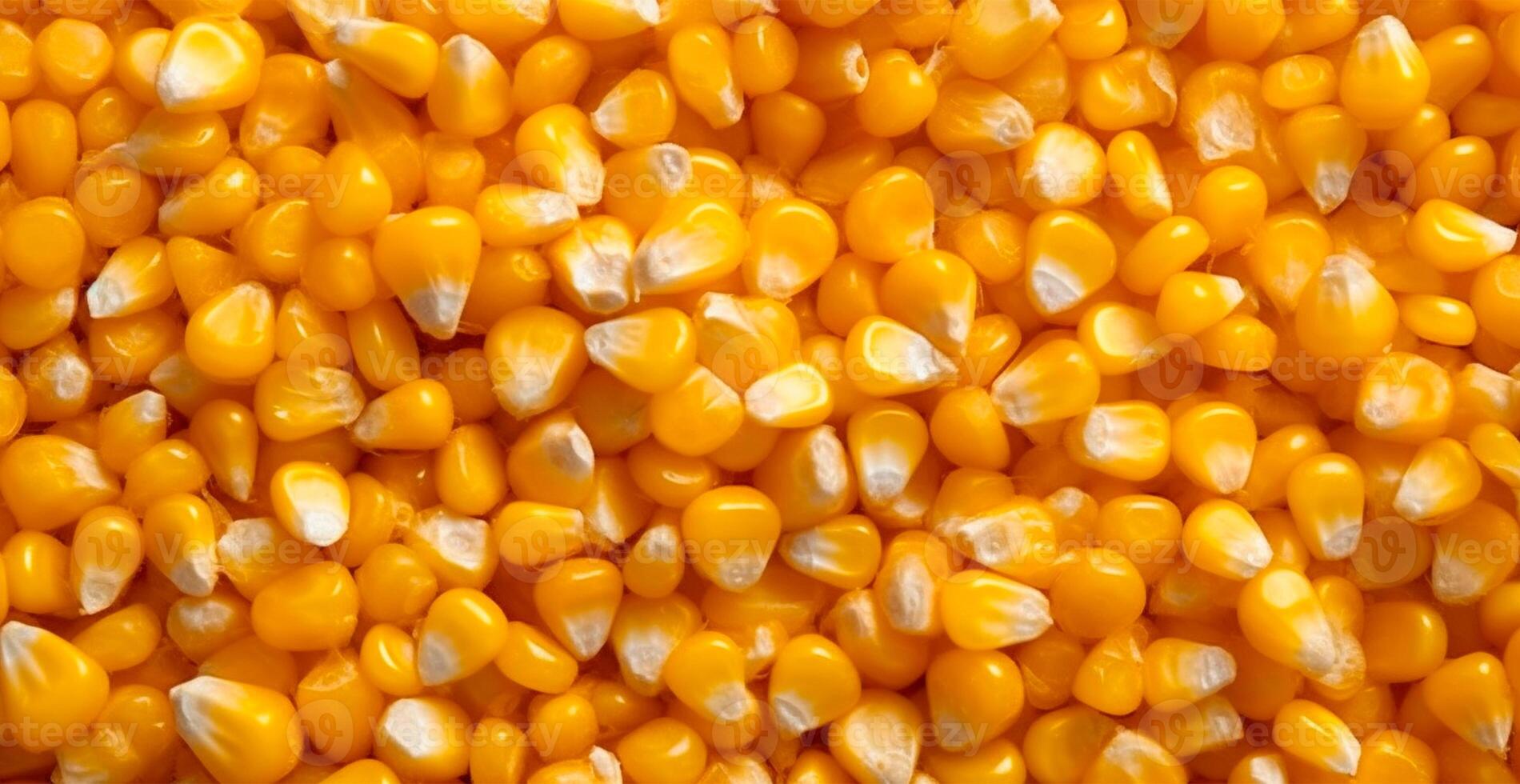 Peeled corn cob, yellow seeds, top view - AI generated image photo