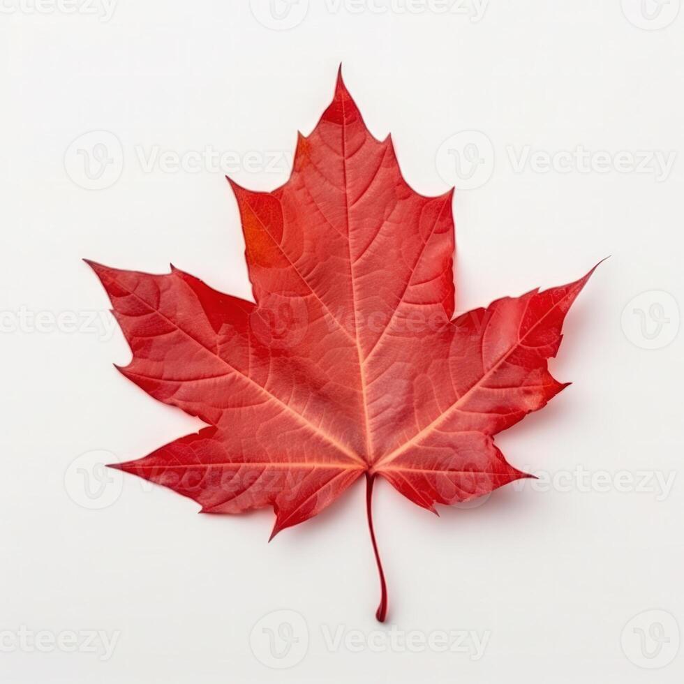 Autumn leaf isolated. Illustration AI Generative photo