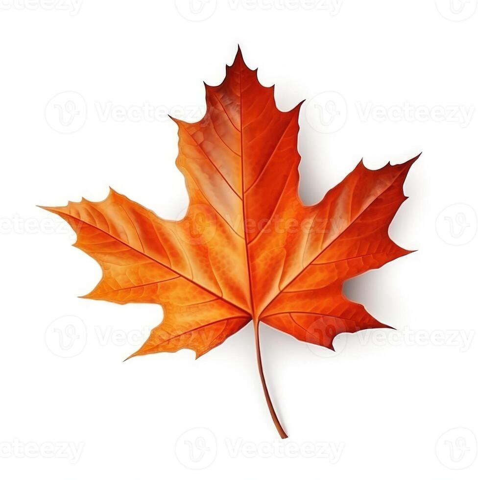 Autumn leaf isolated. Illustration AI Generative photo