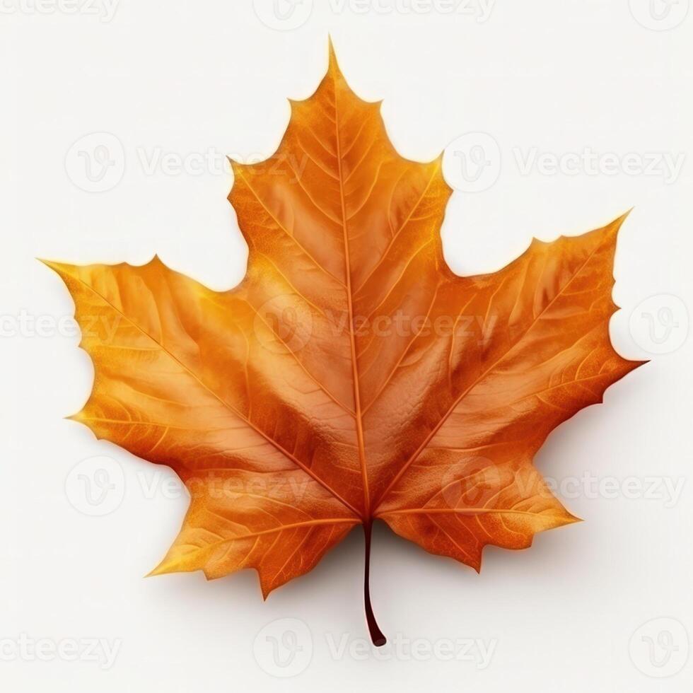 Autumn leaf isolated. Illustration AI Generative photo