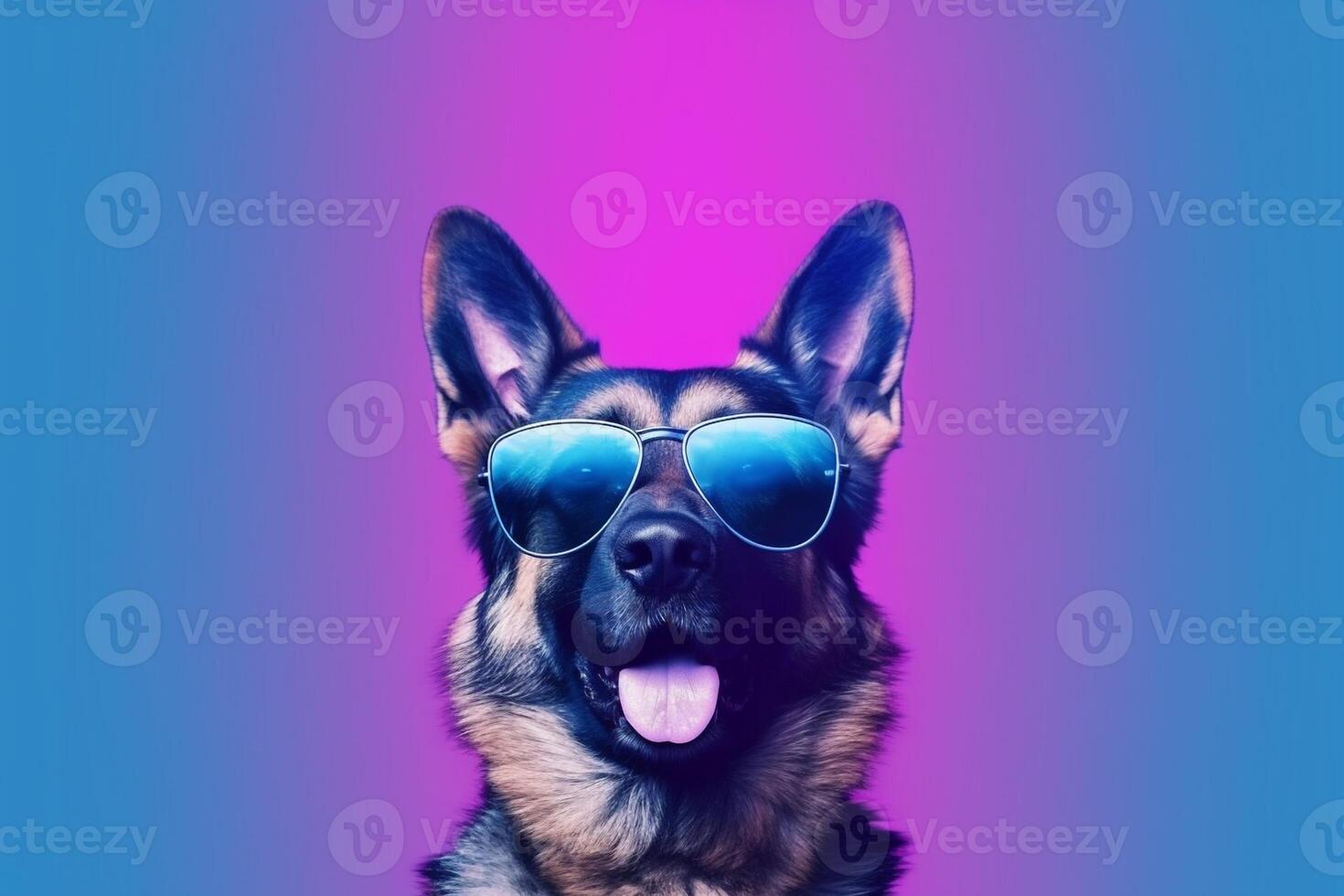 German shepherd wearing sunglasses isolated on colored background - photo