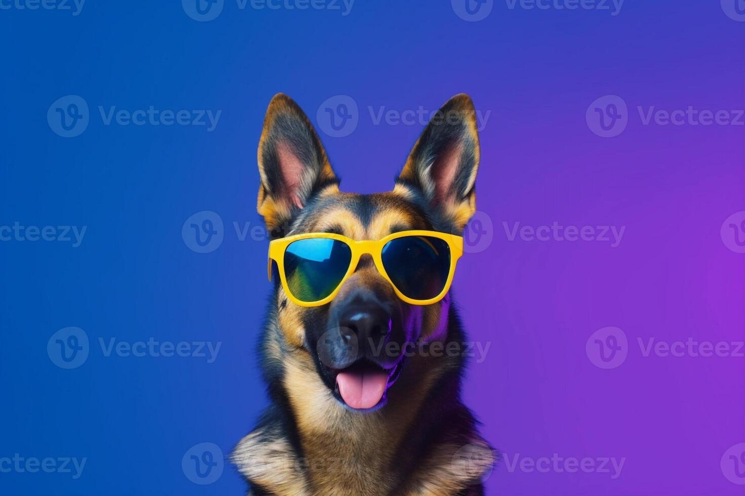 German shepherd wearing sunglasses isolated on colored background - photo