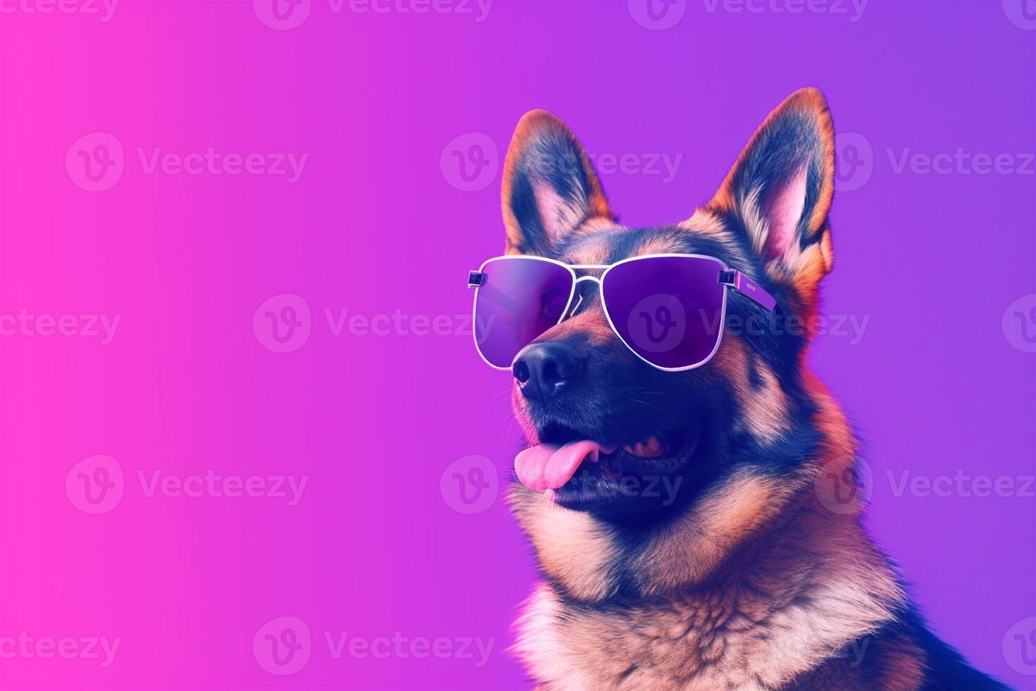 German shepherd wearing sunglasses isolated on colored background - photo