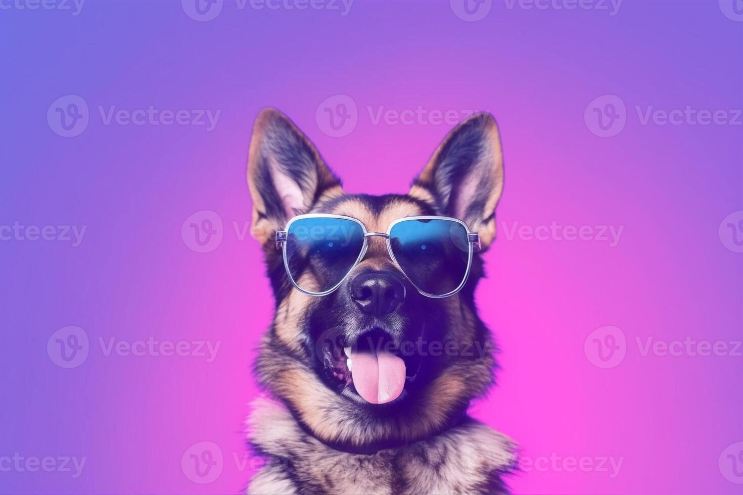 German shepherd wearing sunglasses isolated on colored background - photo