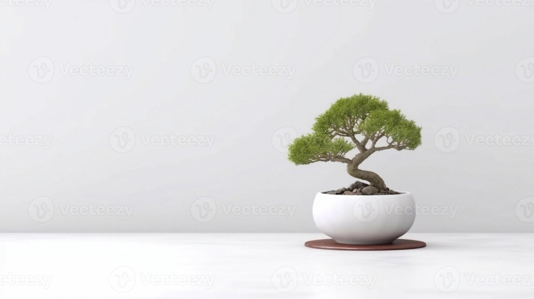 A white potted plant in a white room with a white wall behind it - photo