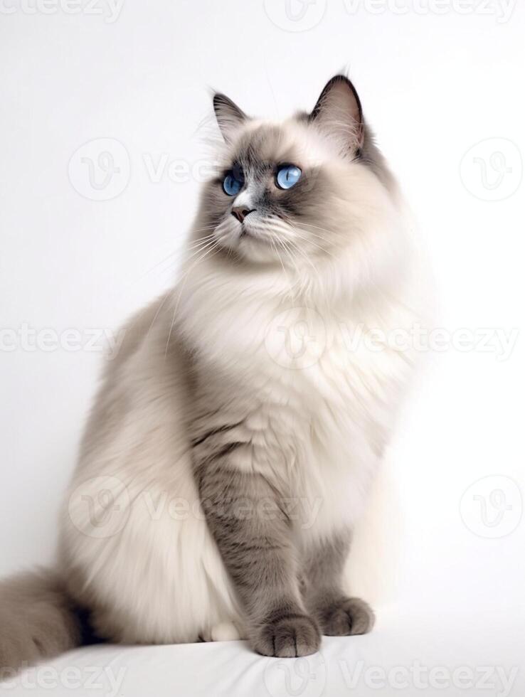 muñeca de trapo gato con azul ojos en un blanco antecedentes. generativo ai foto
