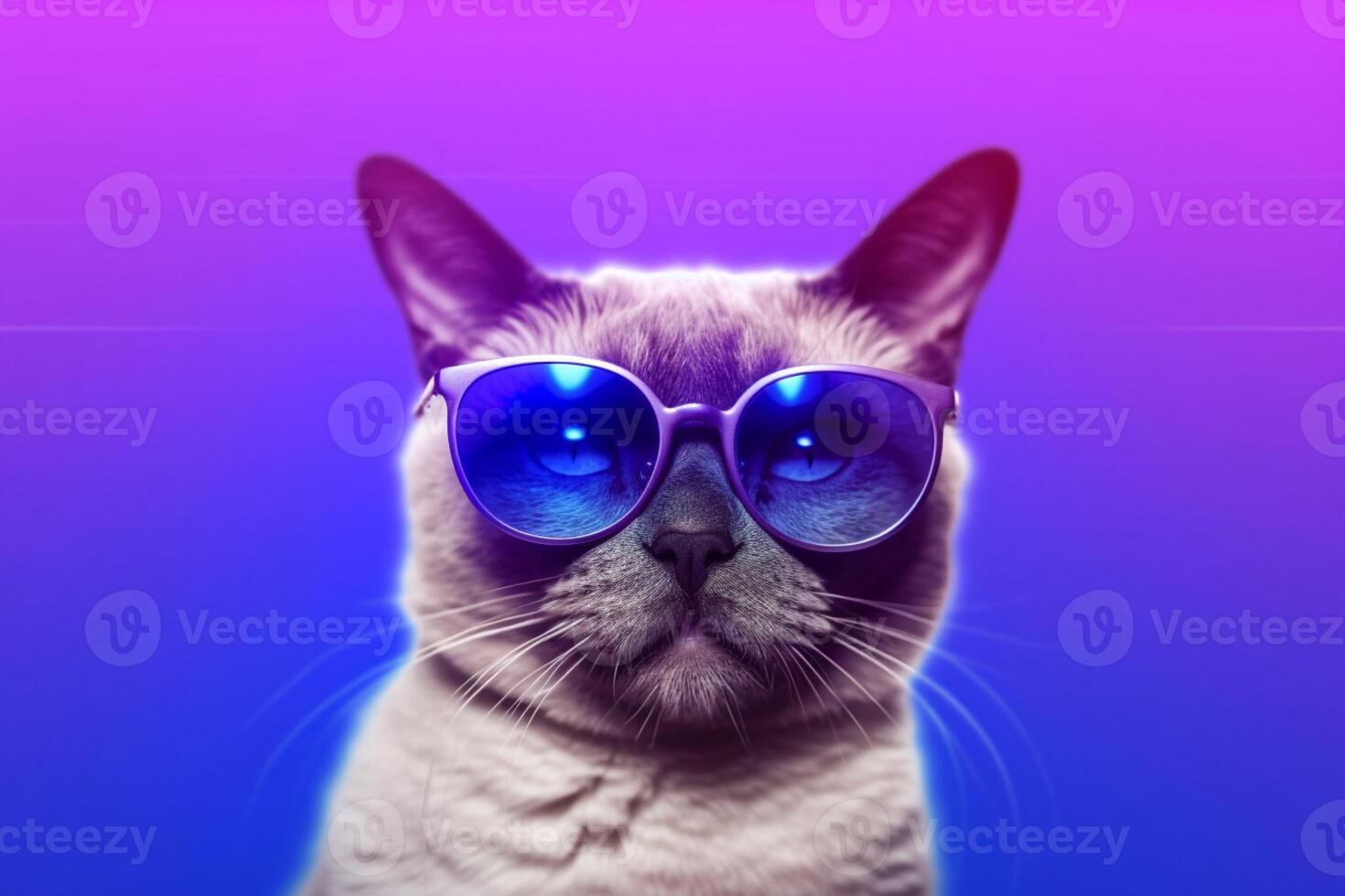 Portrait of a cat with blue sunglasses on a purple background. photo