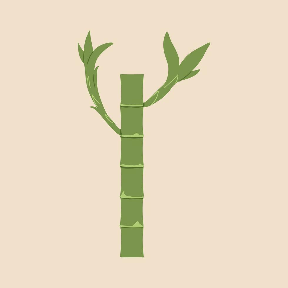 bambú. vector ilustración en plano estilo