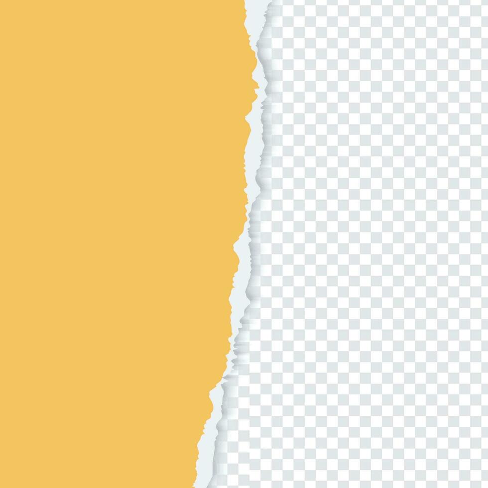 vibrante amarillo Rasgado papel en transparente antecedentes vector