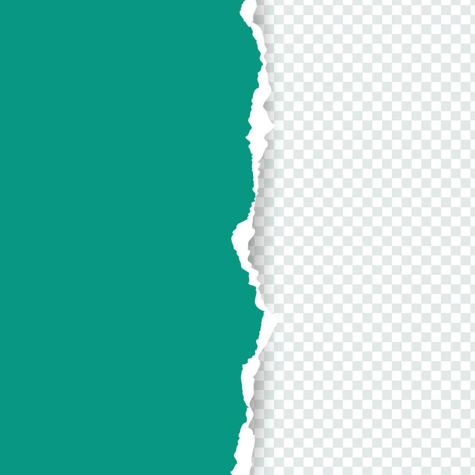 Rasgado papel , horizontal vistoso Rasgado papel con suave sombra vector