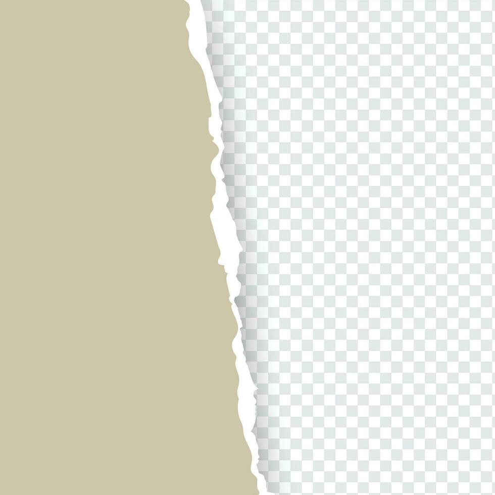 Rasgado papel , horizontal vistoso Rasgado papel con suave sombra vector