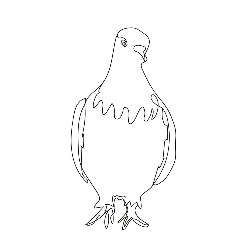 Pigeon one line drawing. A beautiful calm dove walking along the road. Black and white vector illustration. Concept for logo, card, banner, poster, flyer