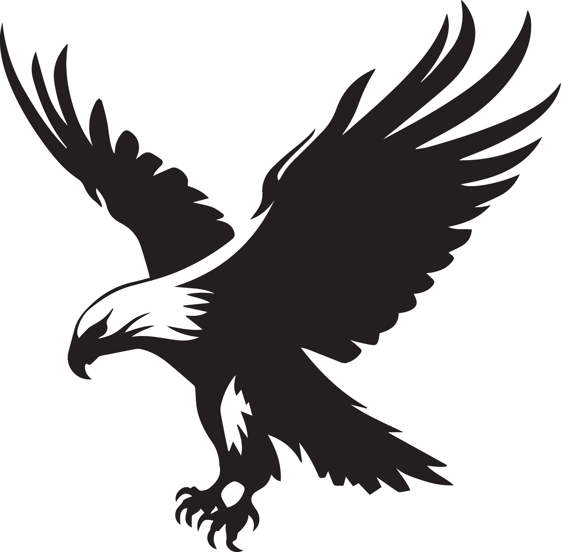 Bald Eagle Black and White Vector Template for Cut and Print 25535725 ...