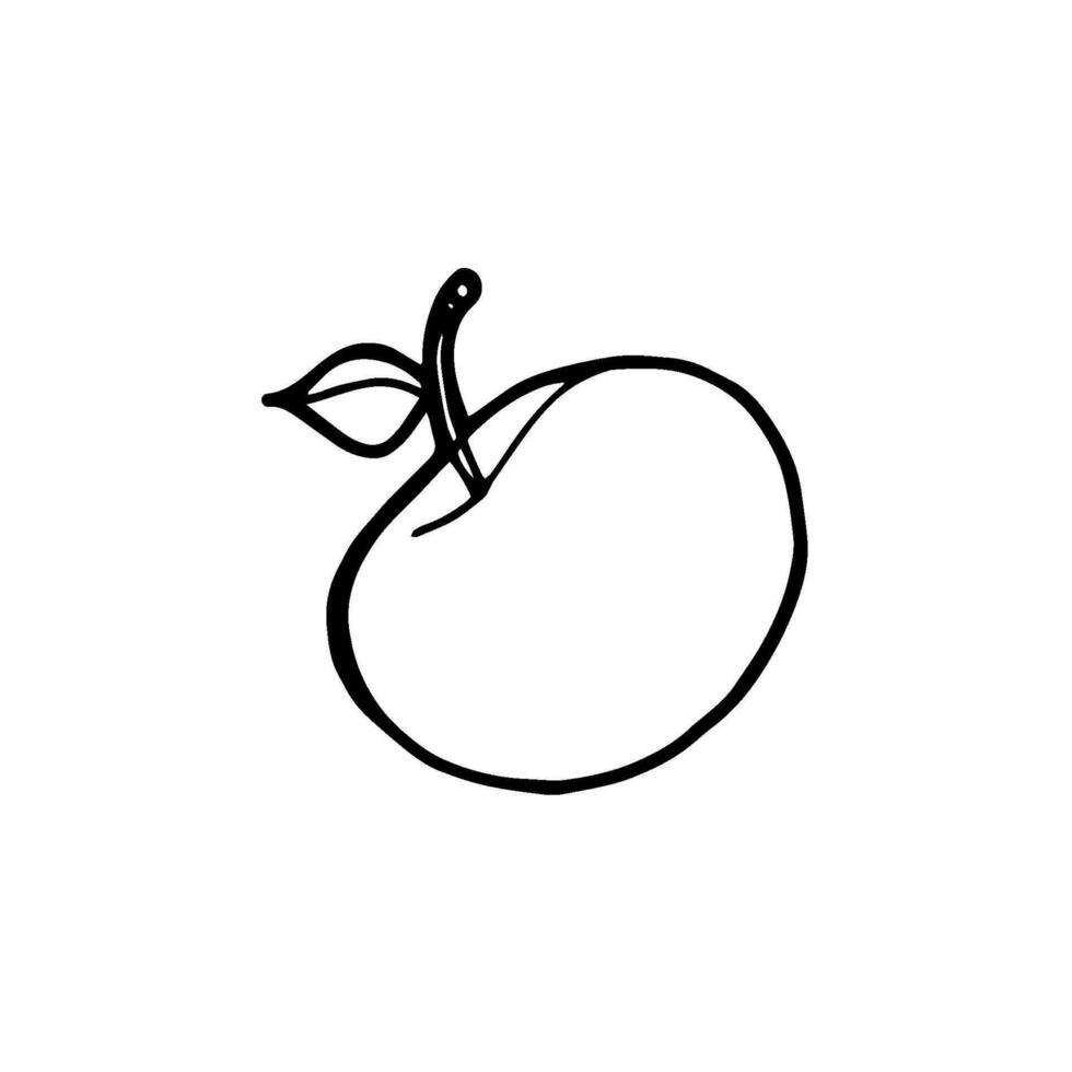 Apple fruit vector illustration. Engraved organic food hand drawn sketch engraving illustration. Black white apple isolated on white background