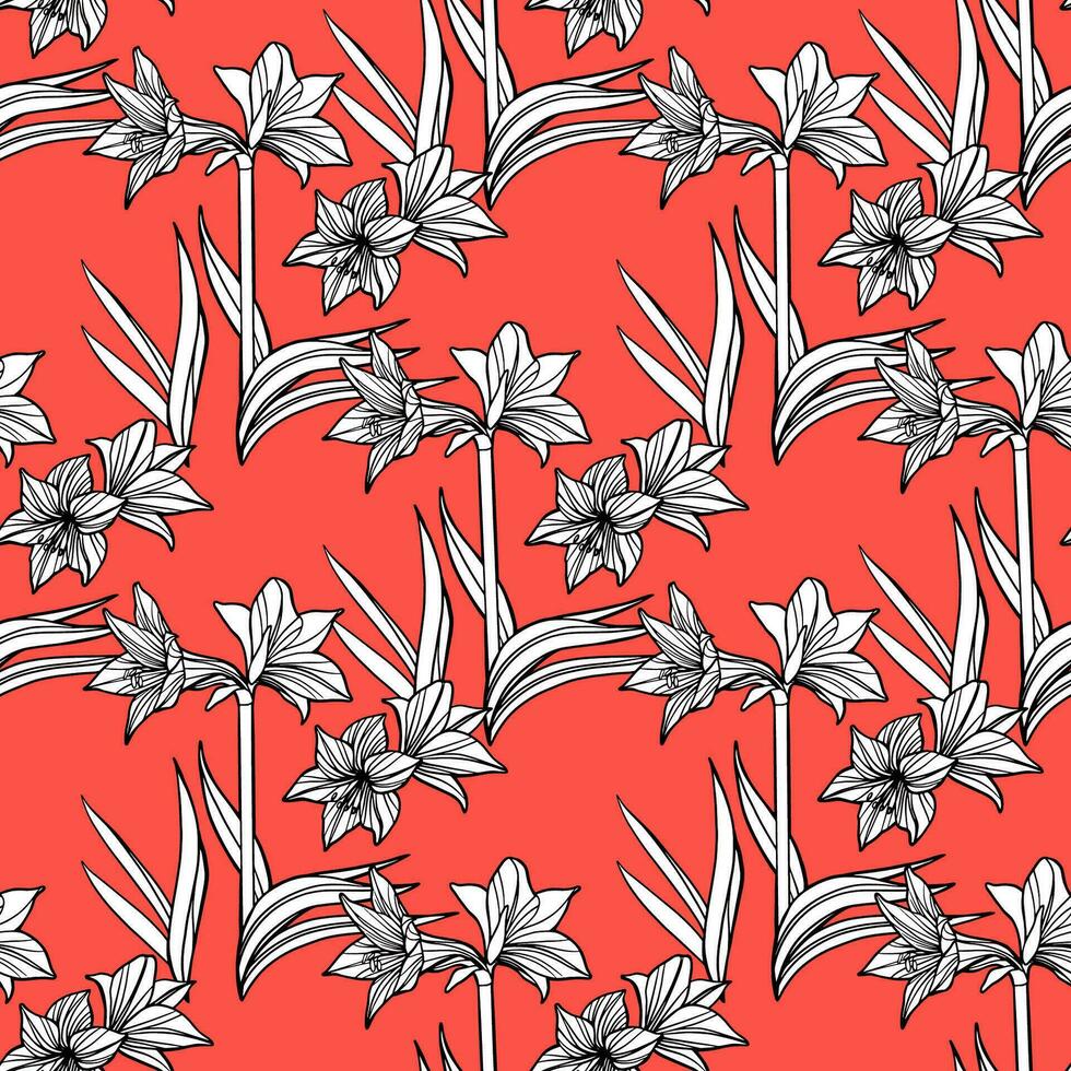 Hippeastrum amaryllis lilly blooming flowers seamless pattern. vector