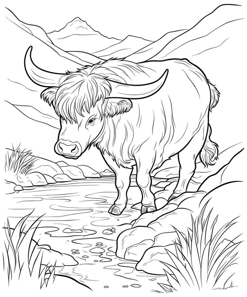 Highland Cow was drinking water from a river coloring page vector