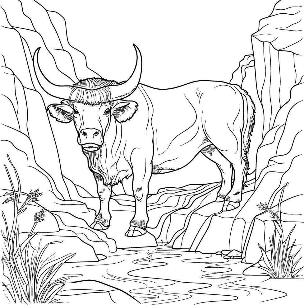 Buffalo animal coloring page for adults vector