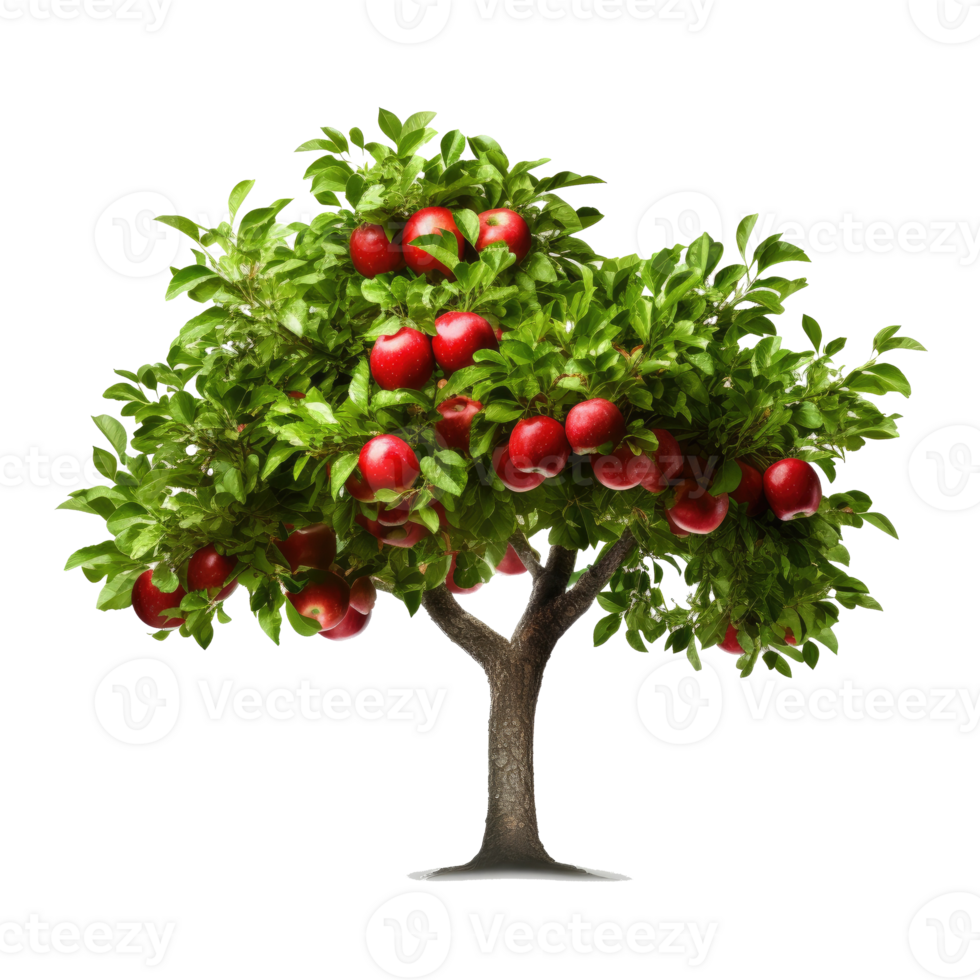 Pomme arbre isolé. illustration ai génératif png