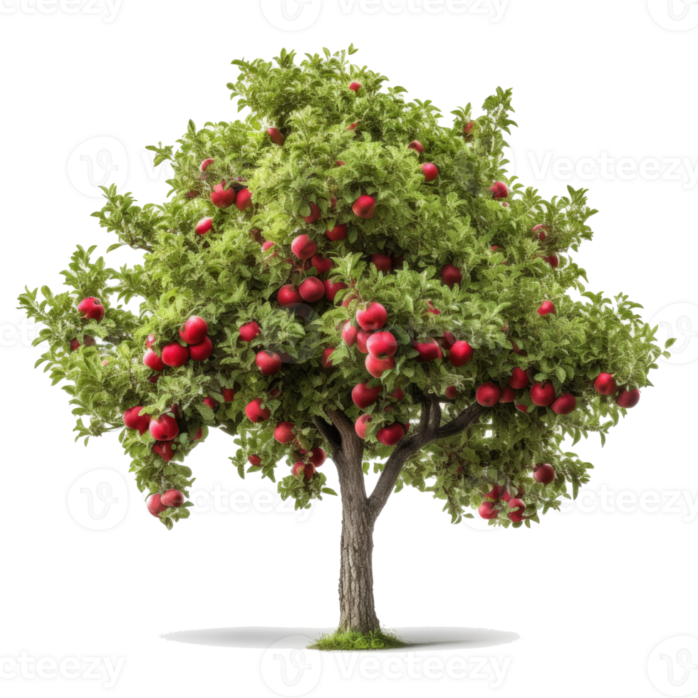 Pomme arbre isolé. illustration ai génératif png