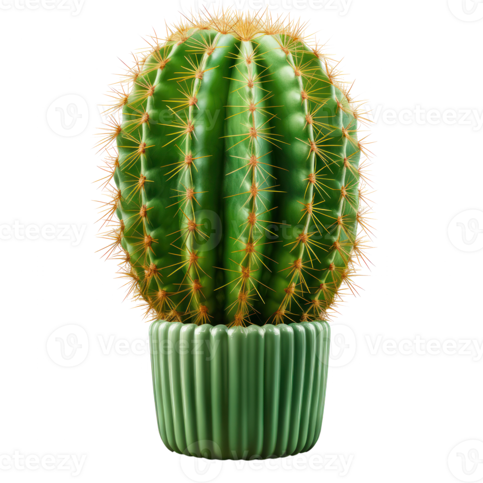 Cactus isolated. Illustration AI Generative png