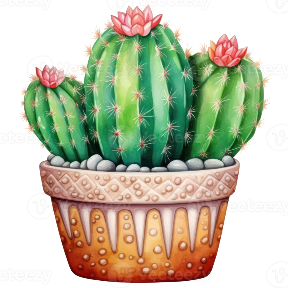 Cute watercolor cactus. Illustration png