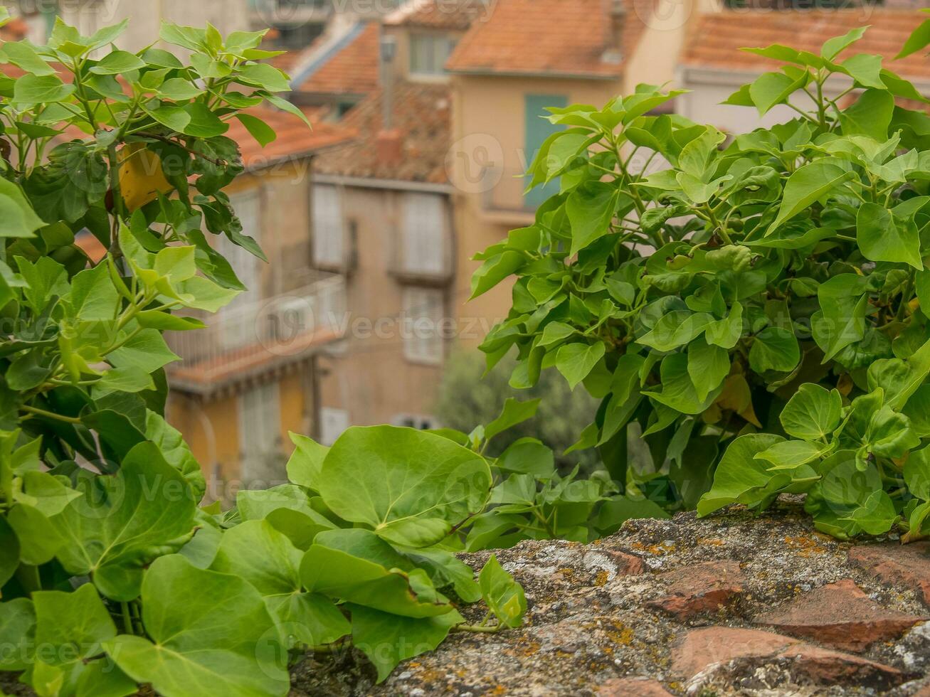 cannes in france photo