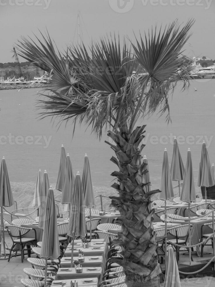 cannes at the mediterranean sea photo