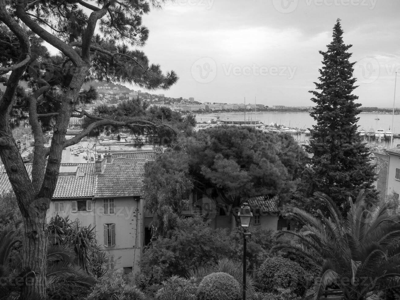 cannes city in france photo