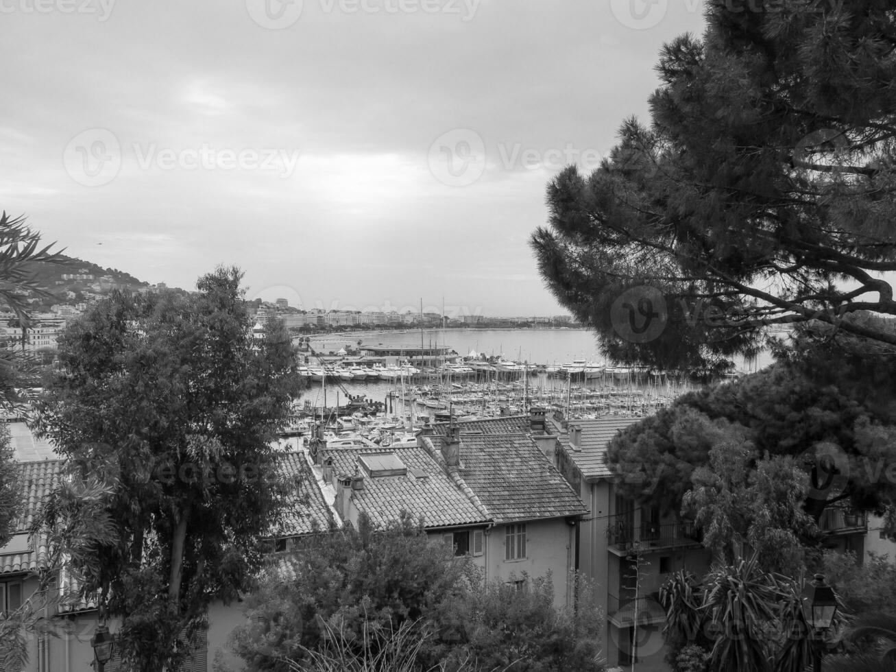 cannes city in france photo