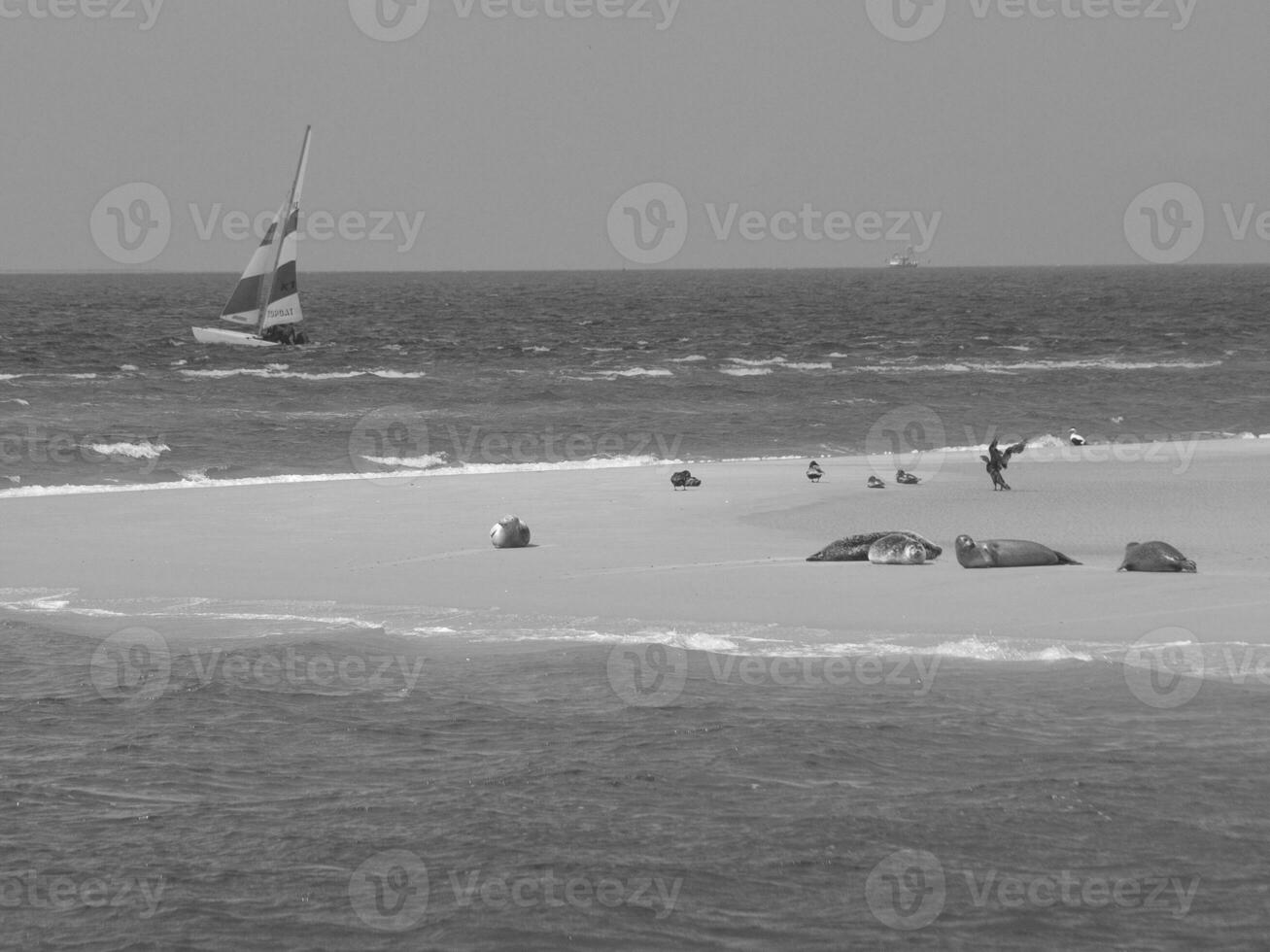 Borkum island in germany photo