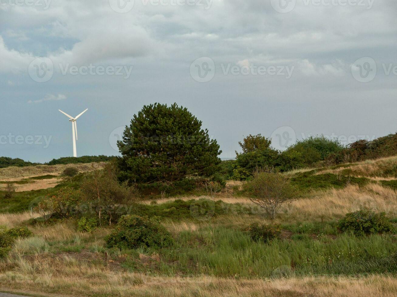 Spiekeroog island in germany photo