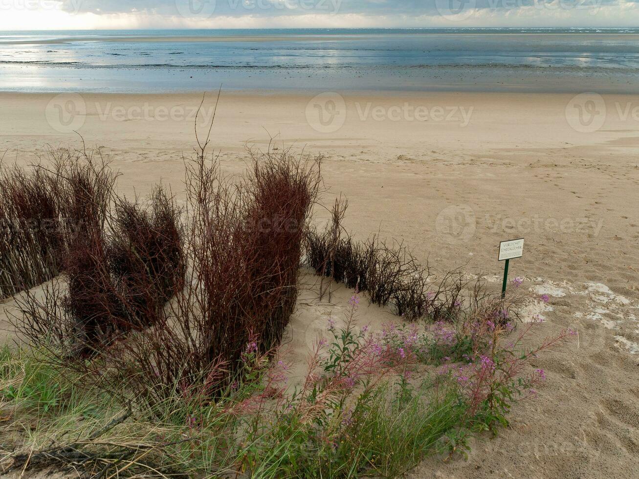 the island Spiekeroog photo