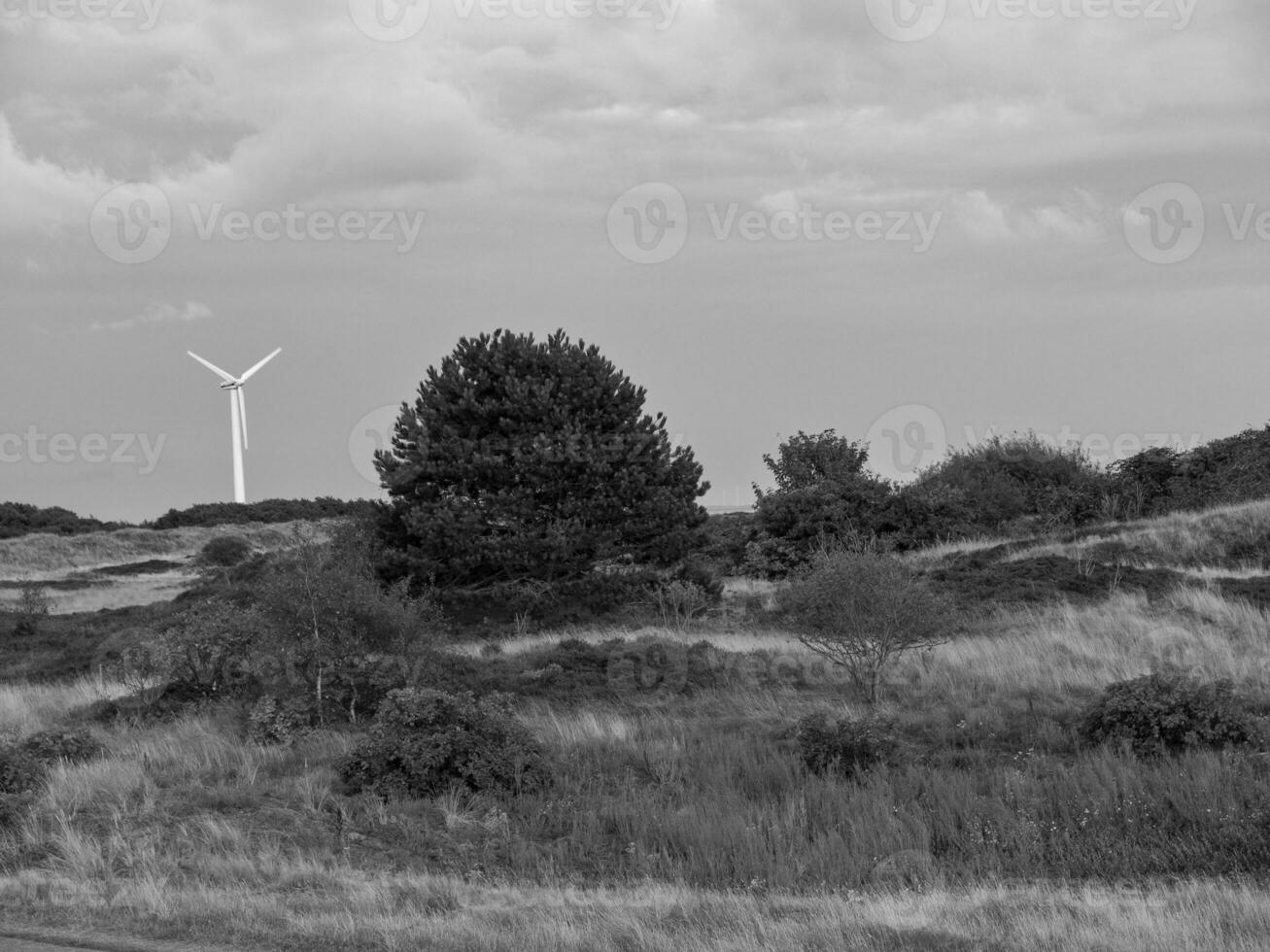 the german island Spiekeroog photo