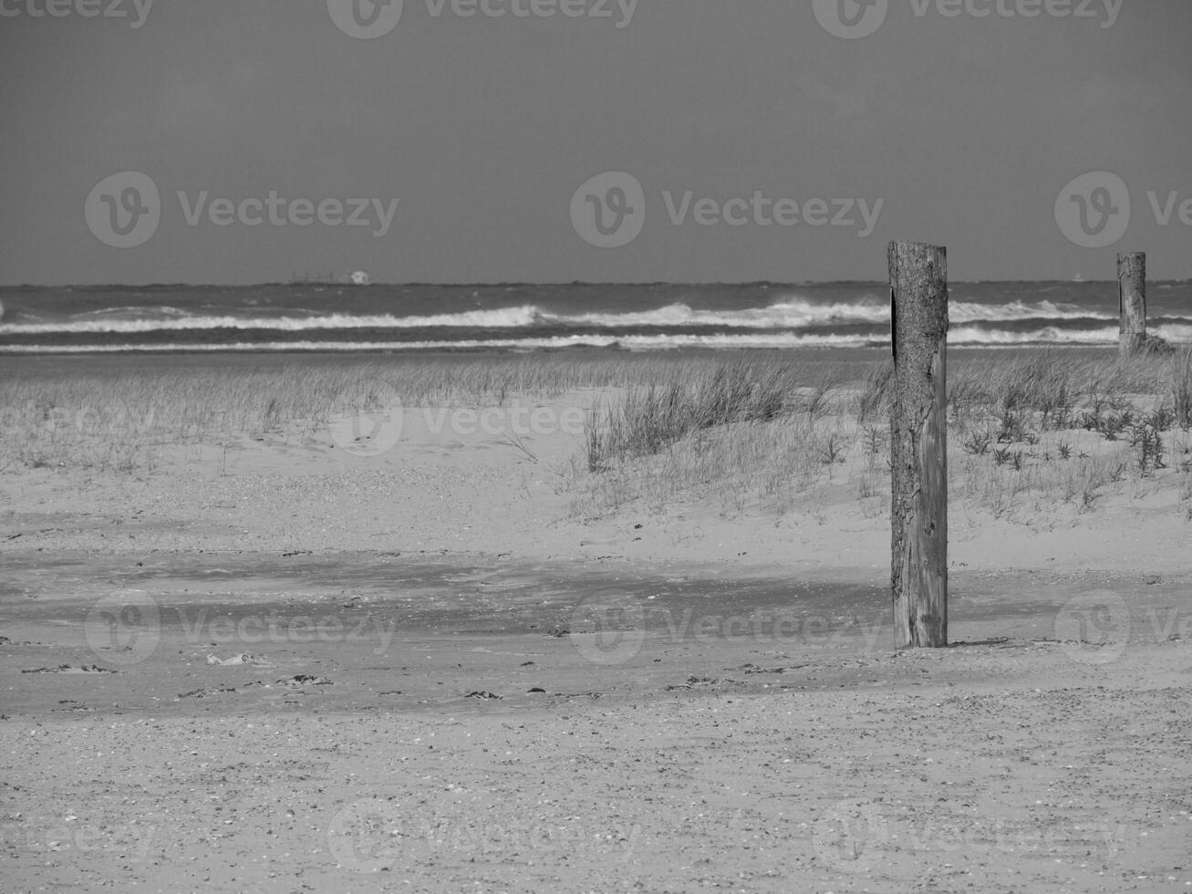 the island of Spiekeroog photo