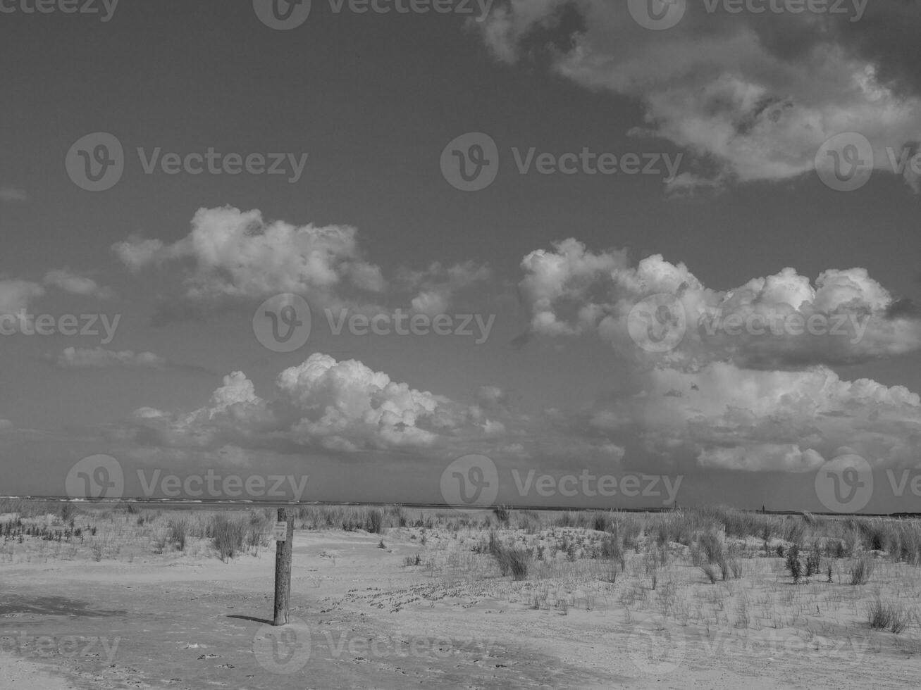 the island of Spiekeroog photo