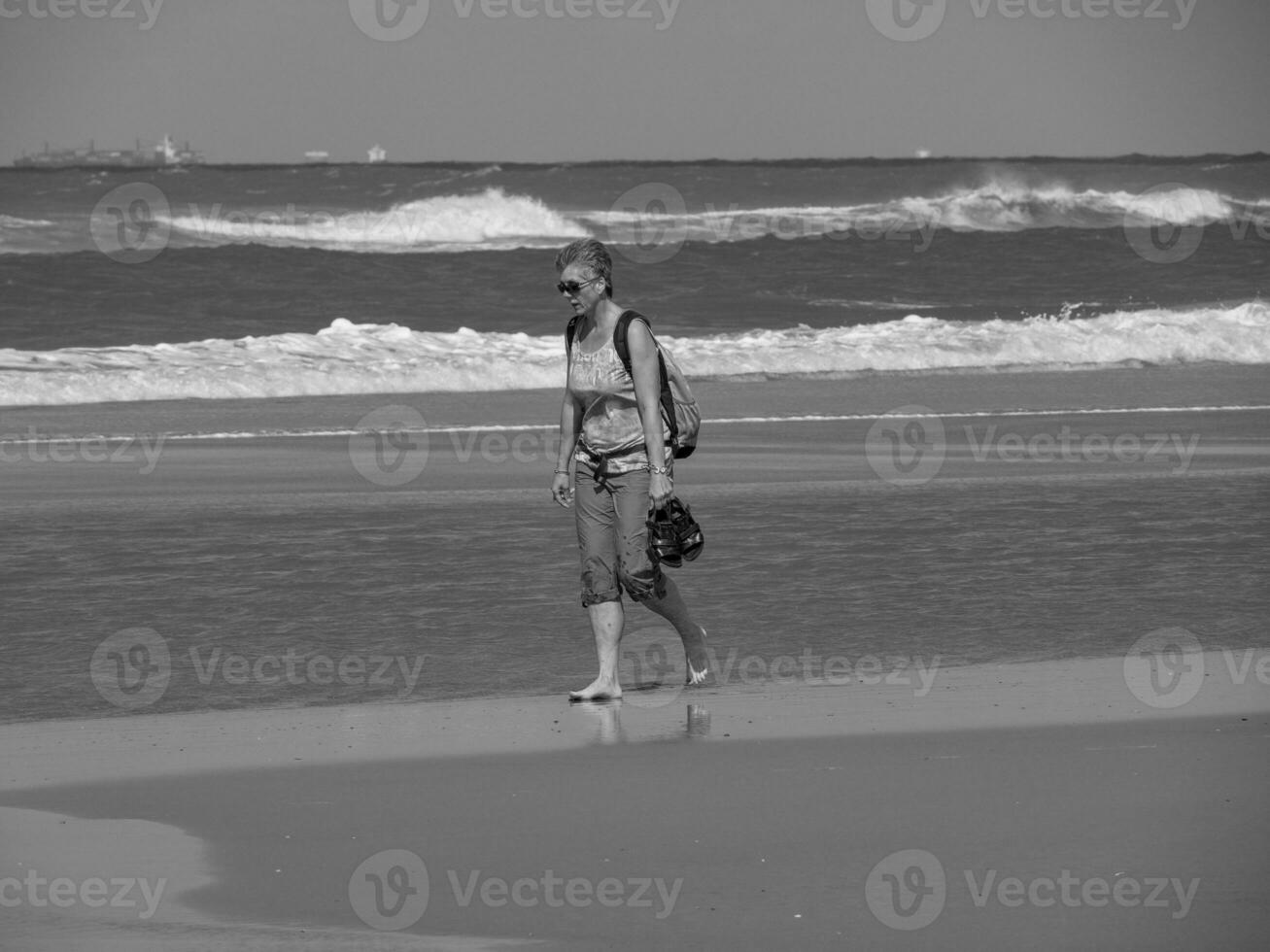 summer time at spiekeroog island photo