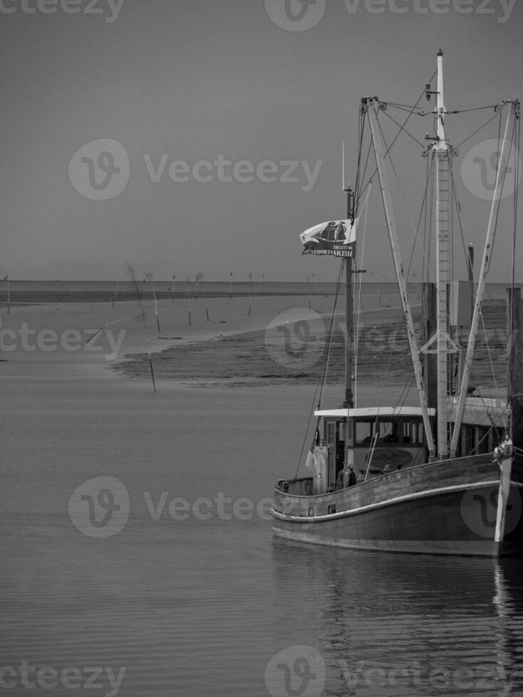 spiekeroog island in the north sea photo