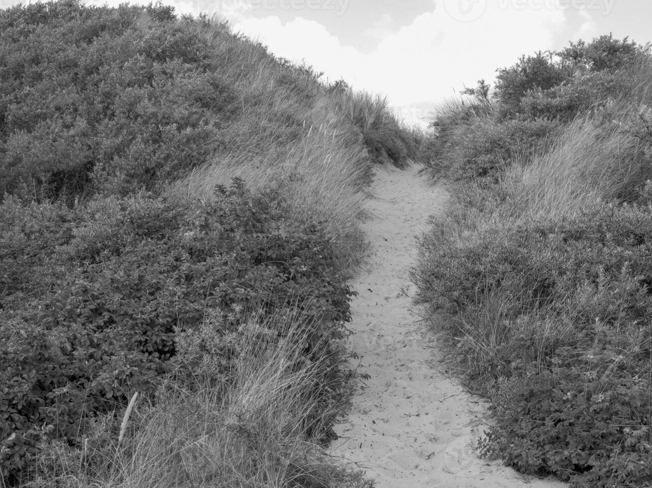 the island of Spiekeroog photo