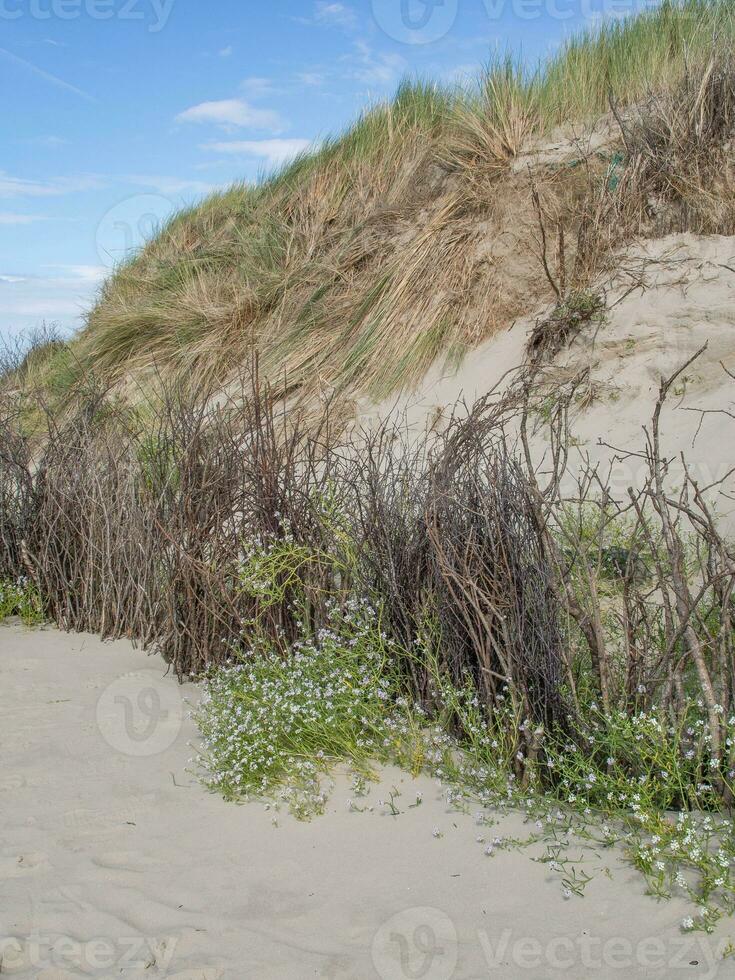 the Island of Spiekeroog photo