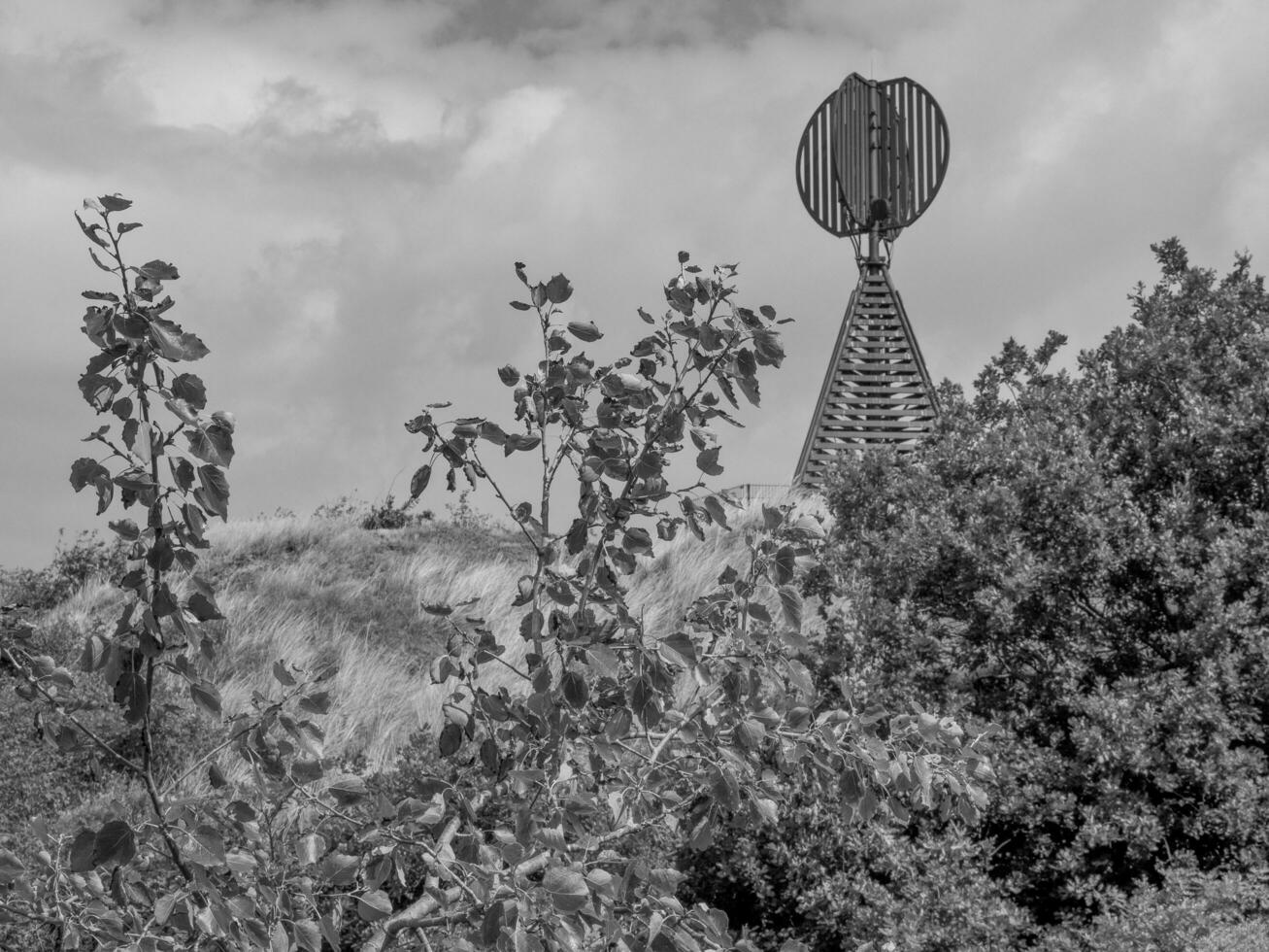 Spiekeroog island in germany photo