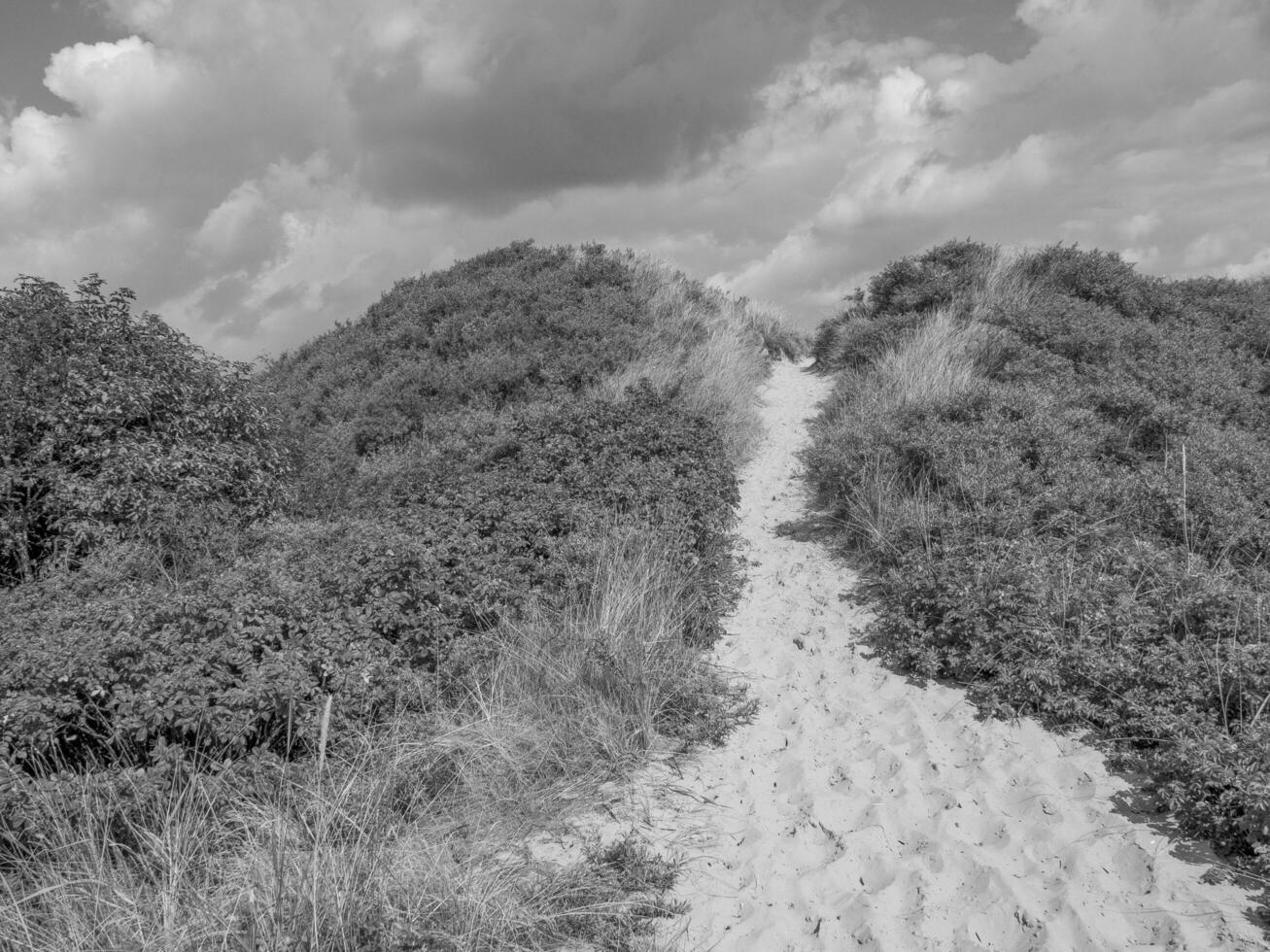 Spiekeroog island in germany photo