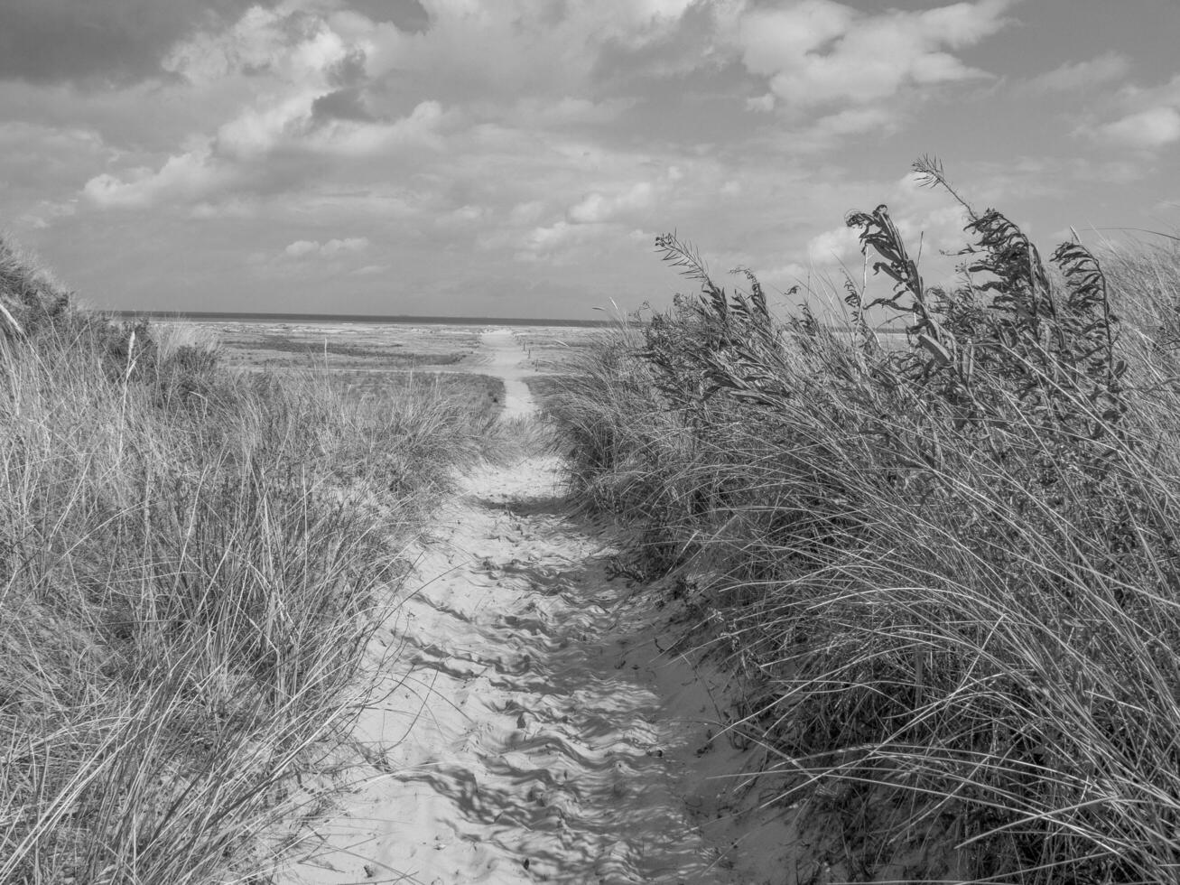 Spiekeroog island in germany photo