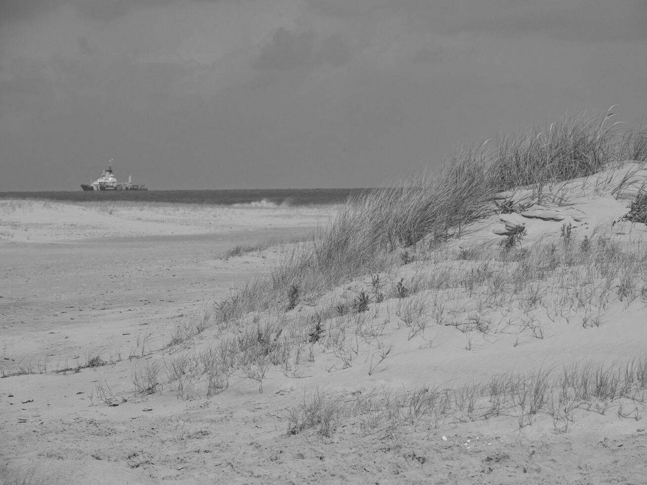 Spiekeroog island in germany photo
