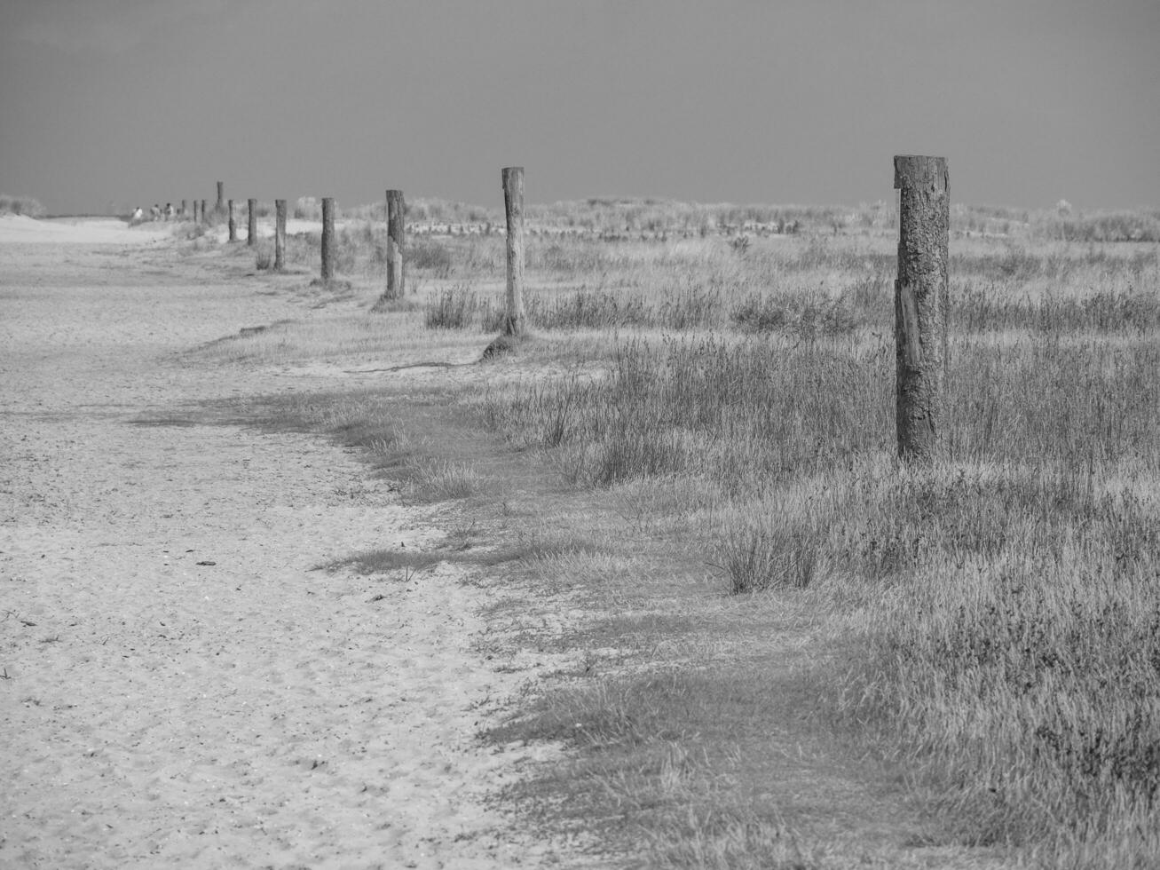 Spiekeroog island in germany photo