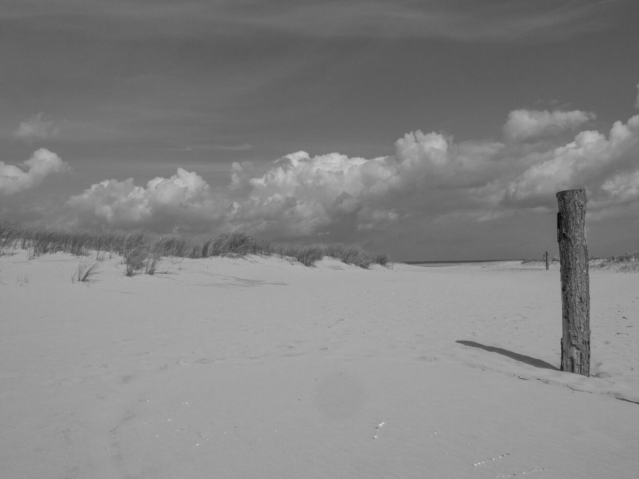 Spiekeroog island in germany photo