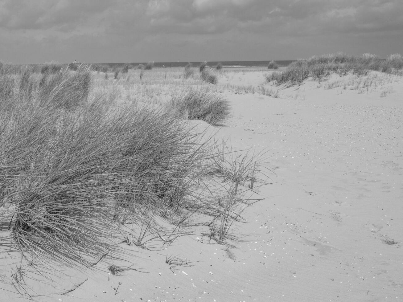 Spiekeroog island in germany photo